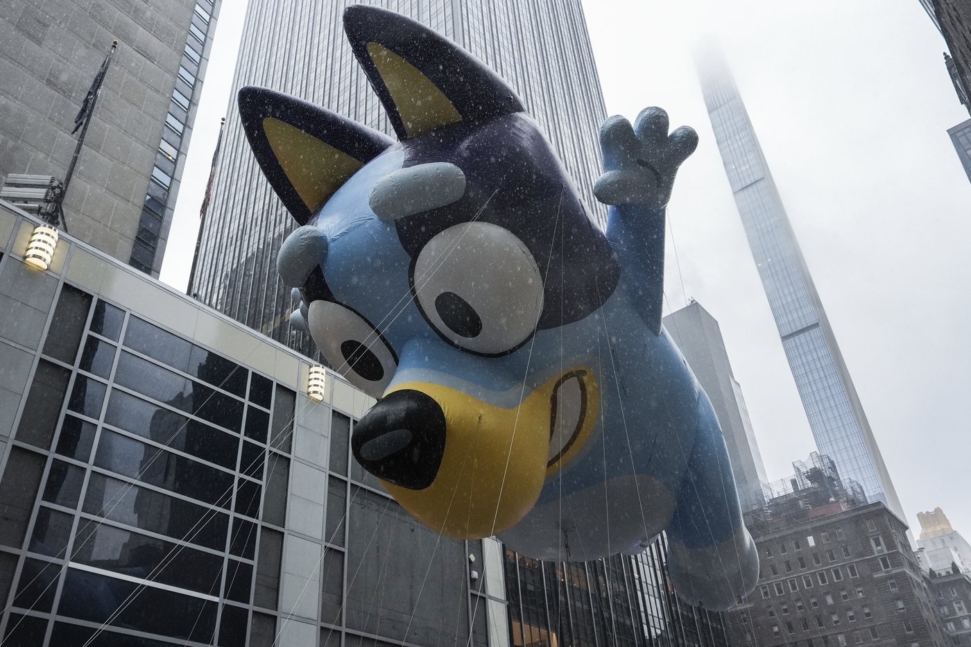 'Bluey' is bound for the big screen with a feature film coming in 2027 | iNFOnews.ca