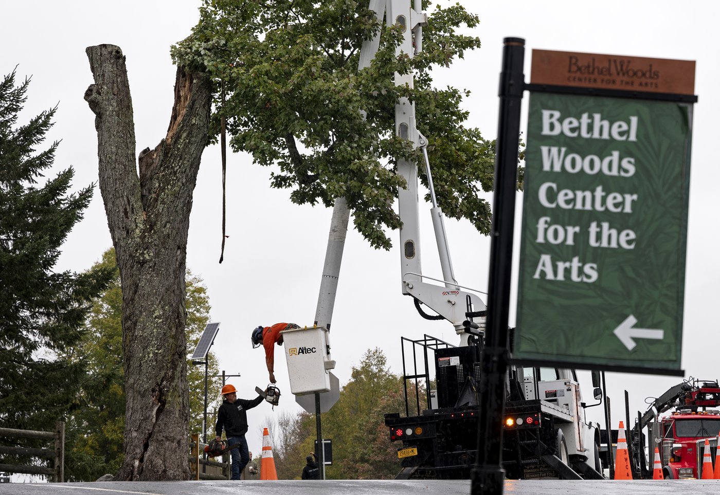 Aging and ailing, 'Message Tree' at Woodstock concert site is reluctantly cut down | iNFOnews.ca