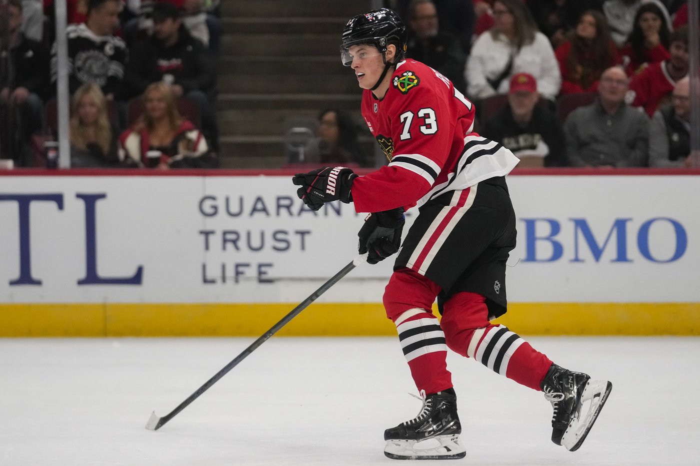 Lukas Reichel makes his season debut for the Blackhawks in win over Sharks | iNFOnews.ca Lukas Reichel makes his season debut for the Blackhawks in win over Sharks | iNFOnews.ca
