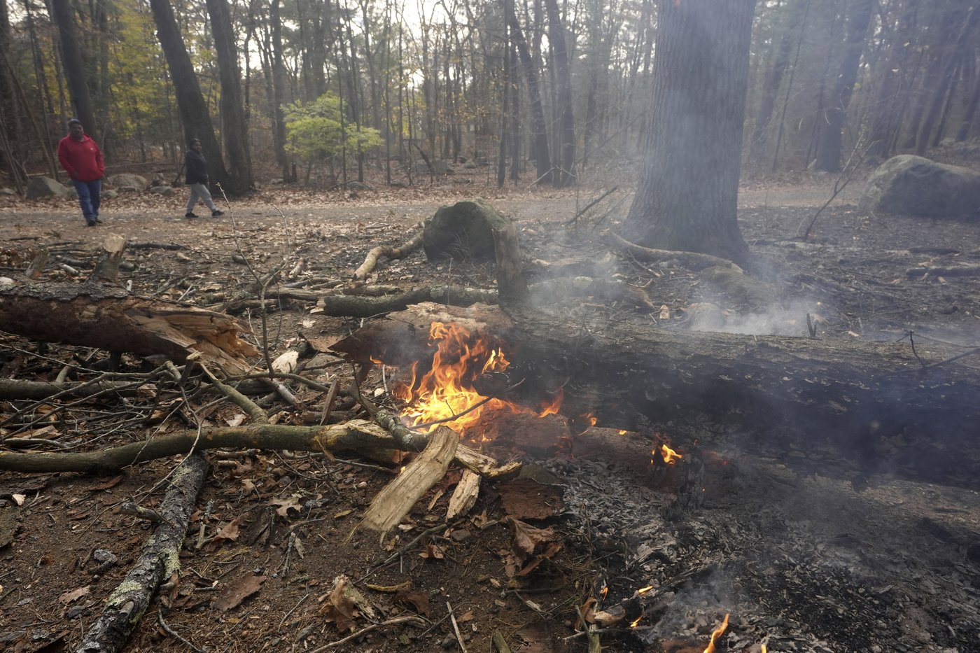 Fire crews on both US coasts battle wildfires | iNFOnews.ca Fire crews on both US coasts battle wildfires | iNFOnews.ca