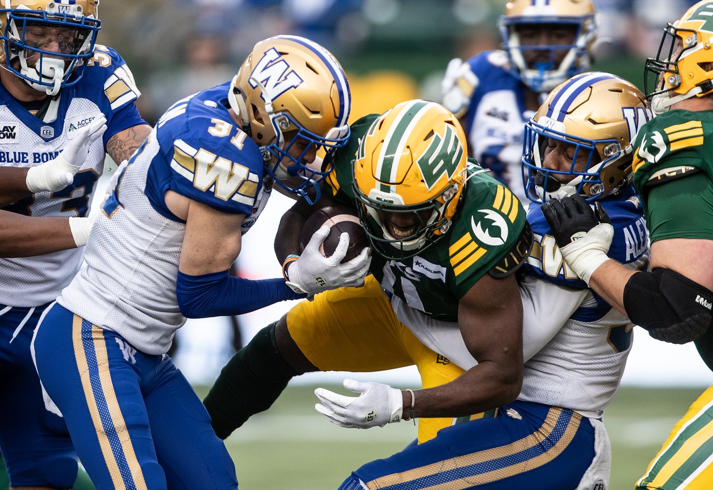 Bombers chicken dance their way to sixth straight win, blitz Elks 27-14 | iNFOnews.ca Bombers chicken dance their way to sixth straight win, blitz Elks 27-14 | iNFOnews.ca