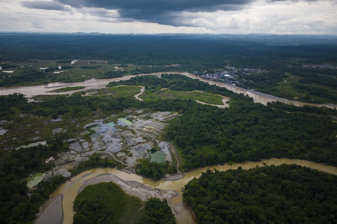 Afro-Colombians fight the effects of gold mining through biodiversity projects in a violent region | iNFOnews.ca Afro-Colombians fight the effects of gold mining through biodiversity projects in a violent region | iNFOnews.ca