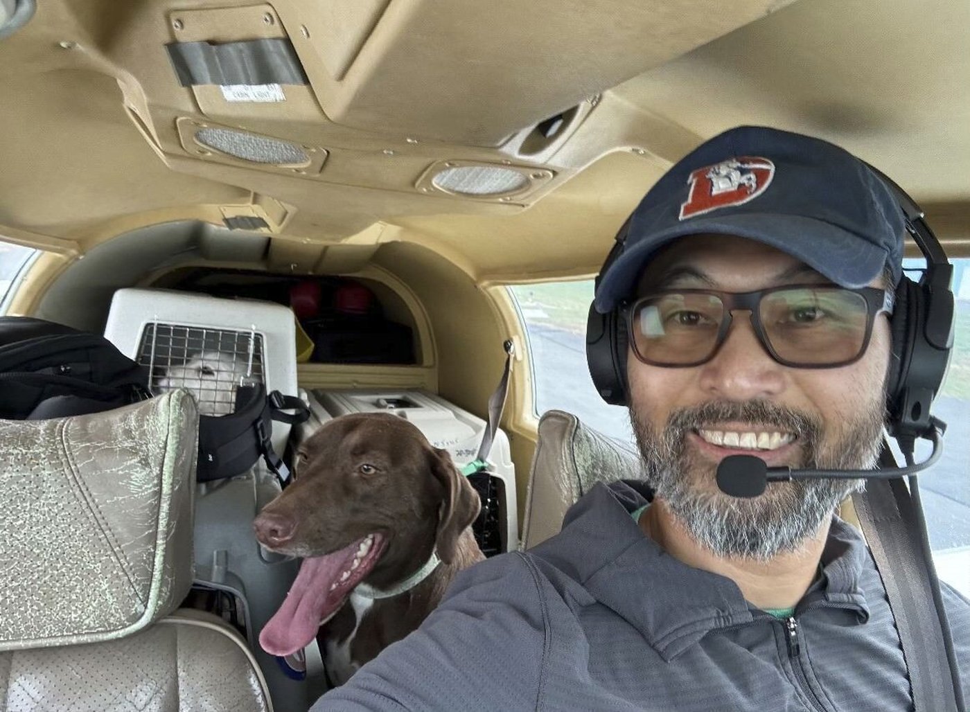 An animal-rescue pilot died in a crash. 2 dogs aboard are recovering | iNFOnews.ca