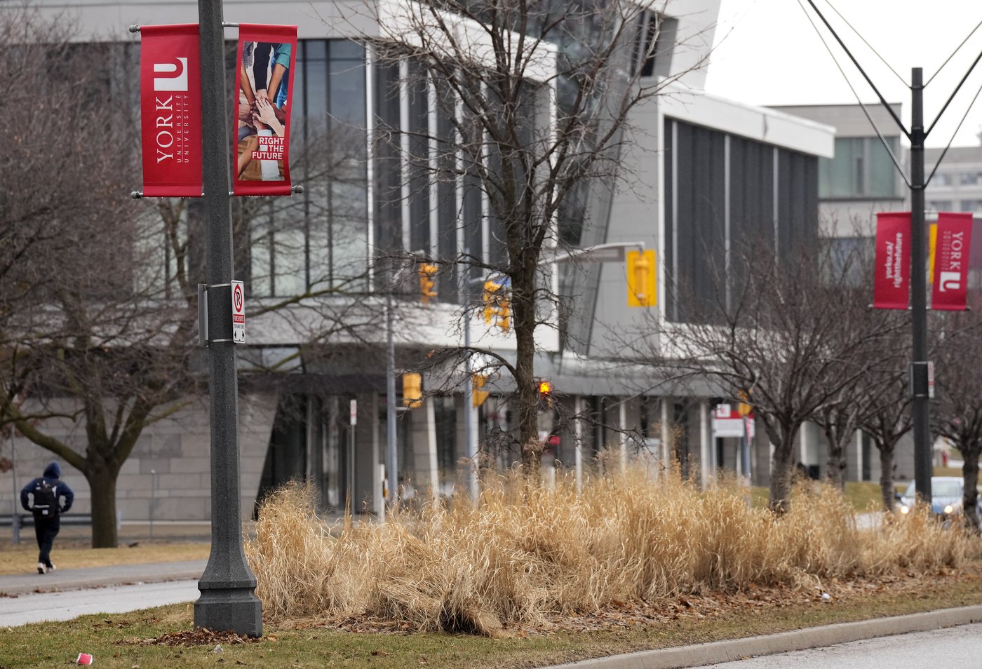 Post-secondary schools brace for more pain as Ottawa cuts international student visas | iNFOnews.ca Post-secondary schools brace for more pain as Ottawa cuts international student visas | iNFOnews.ca