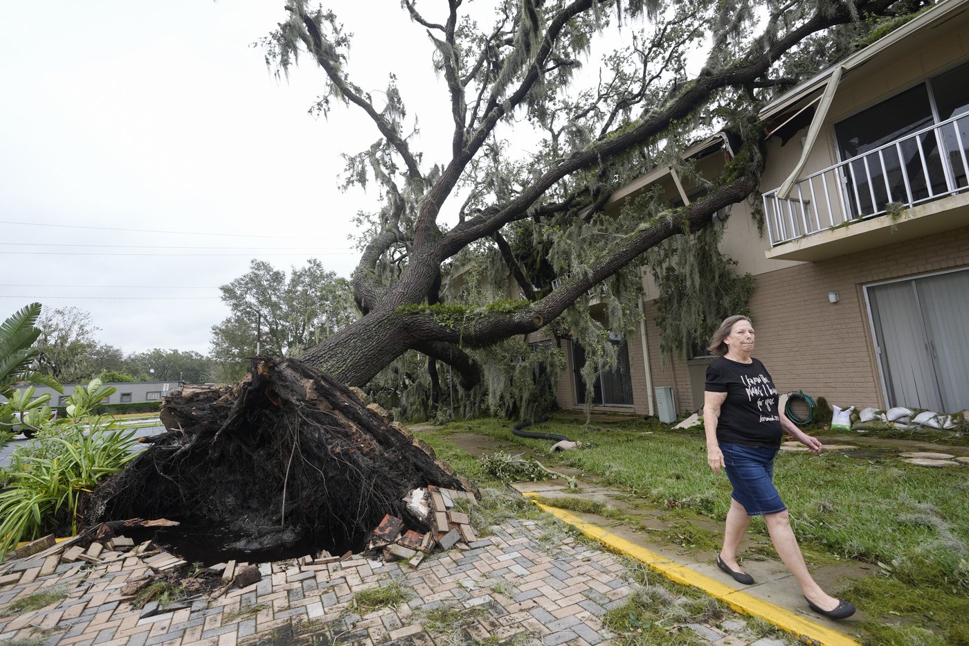 Milton by the numbers: At least 5 dead, at least 12 tornadoes, 3.4M without power | iNFOnews.ca