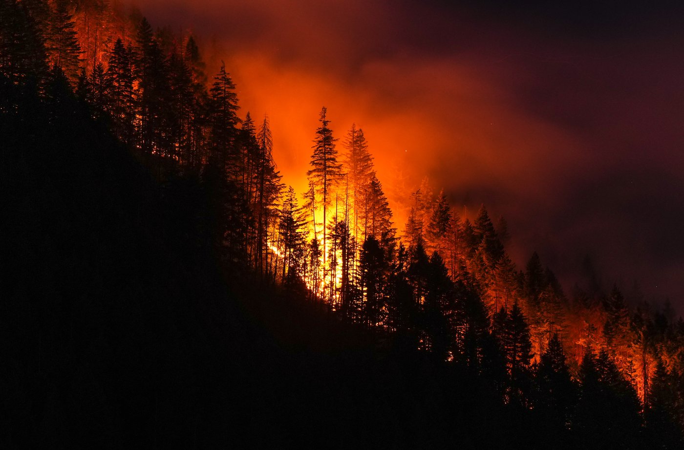 Visitor fought B.C. wildfire with frying pan. But it became an inferno | iNwheels Visitor fought B.C. wildfire with frying pan. But it became an inferno | iNwheels