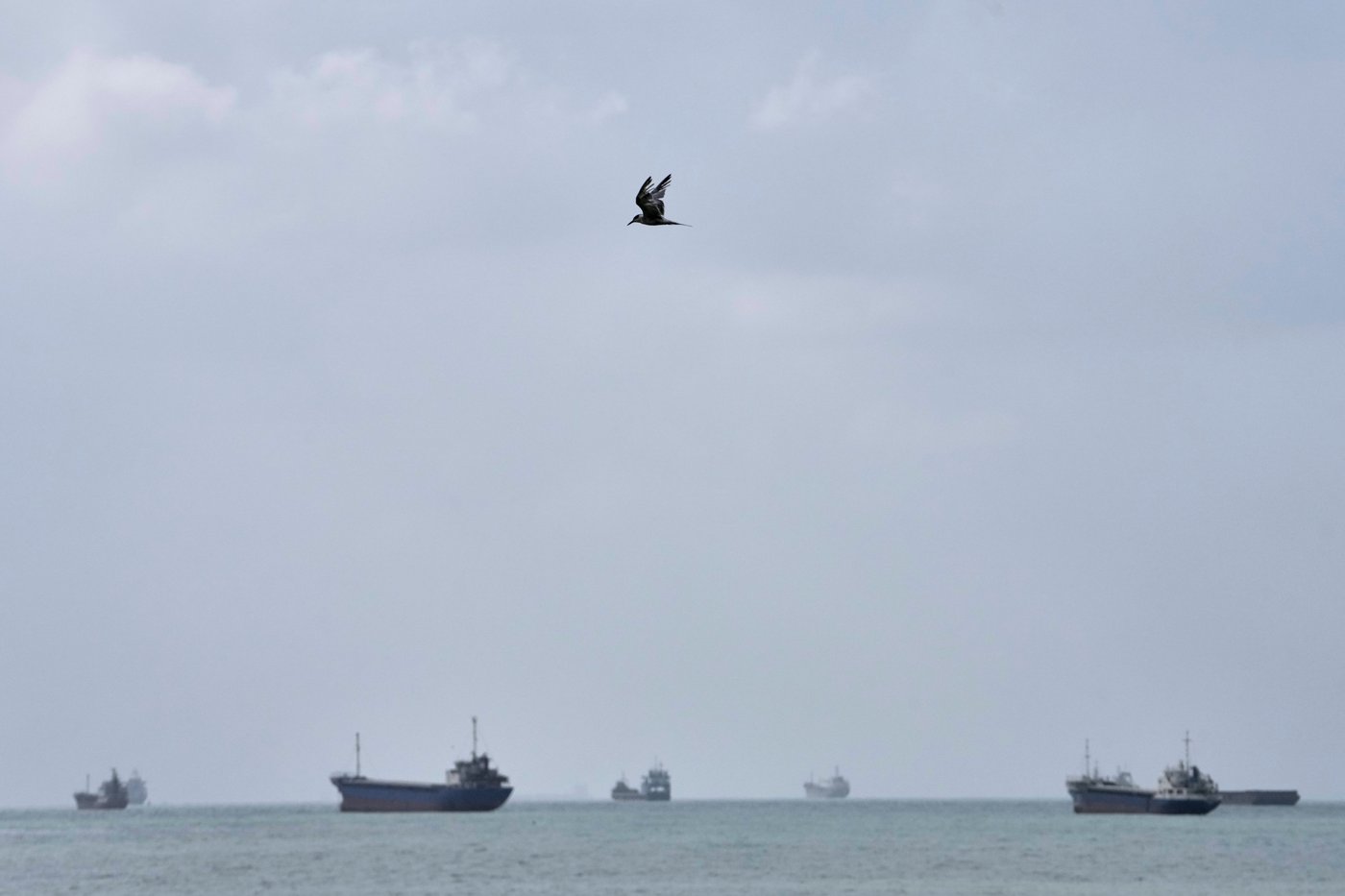 US hits Iranian oil tankers, and other key Mideast developments | iNwheels
