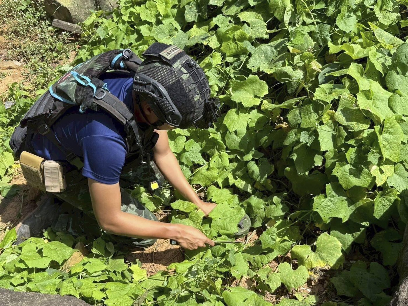 Thailand warns it may act in 'self-defense' after soldier hurt by a mine blast near Cambodian border | iNFOnews.ca Thailand warns it may act in 'self-defense' after soldier hurt by a mine blast near Cambodian border | iNFOnews.ca