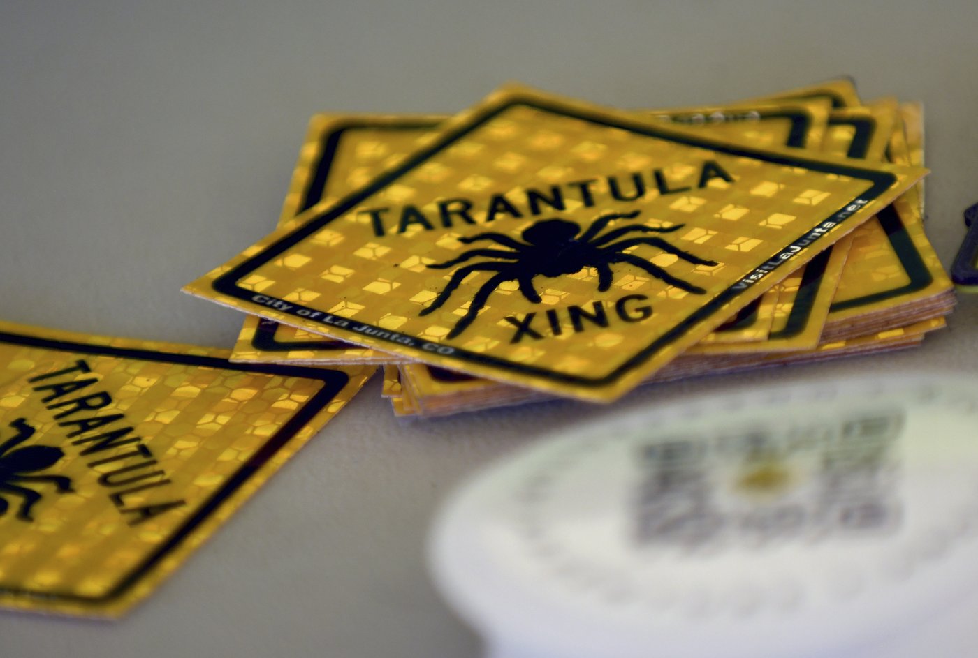 Spider lovers scurry to Colorado town in search of mating tarantulas and community | iNFOnews.ca