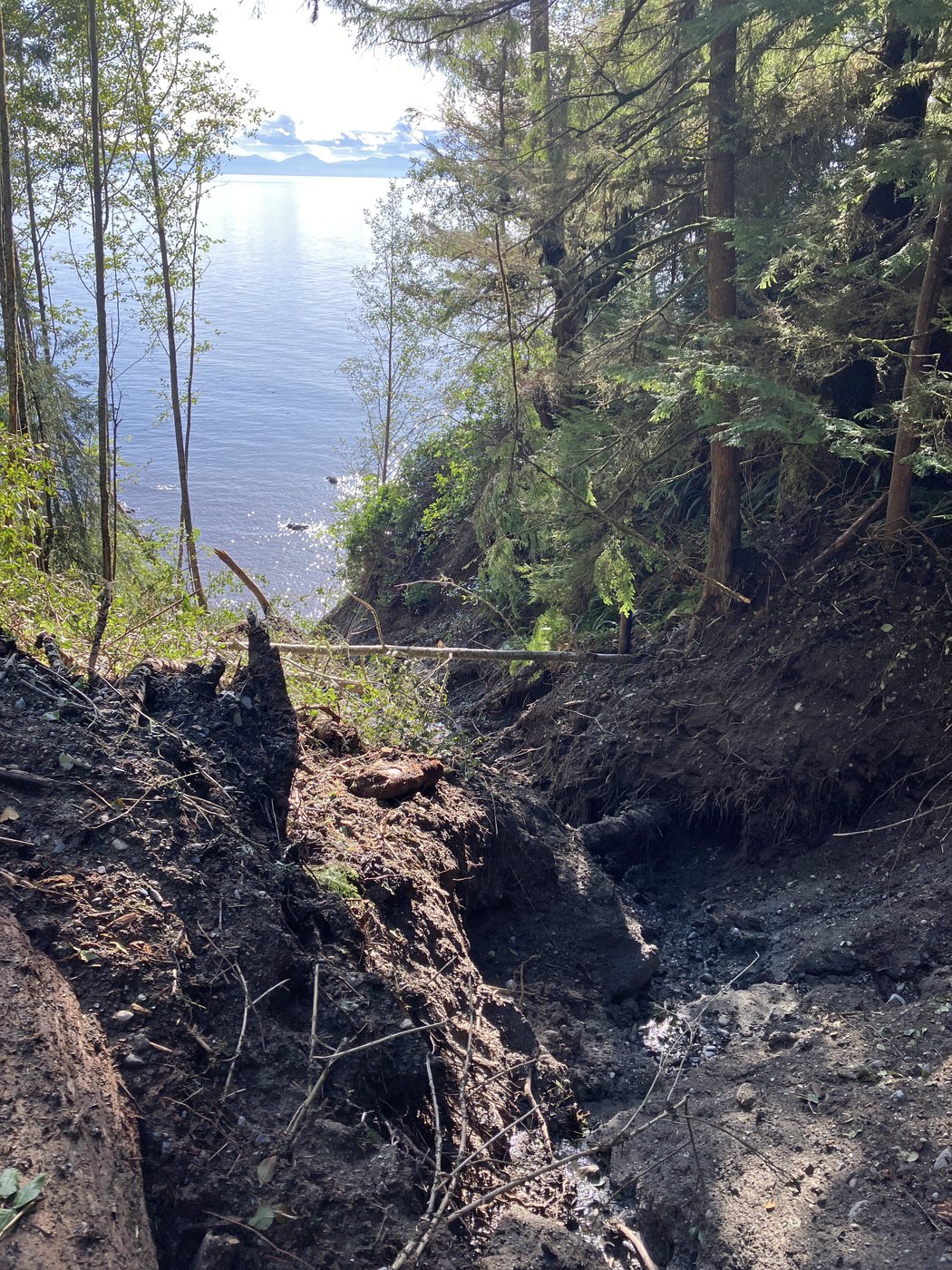 Hikers scramble for alternatives after damage shuts B.C.'s popular Juan de Fuca Trail | iNFOnews.ca Hikers scramble for alternatives after damage shuts B.C.'s popular Juan de Fuca Trail | iNFOnews.ca
