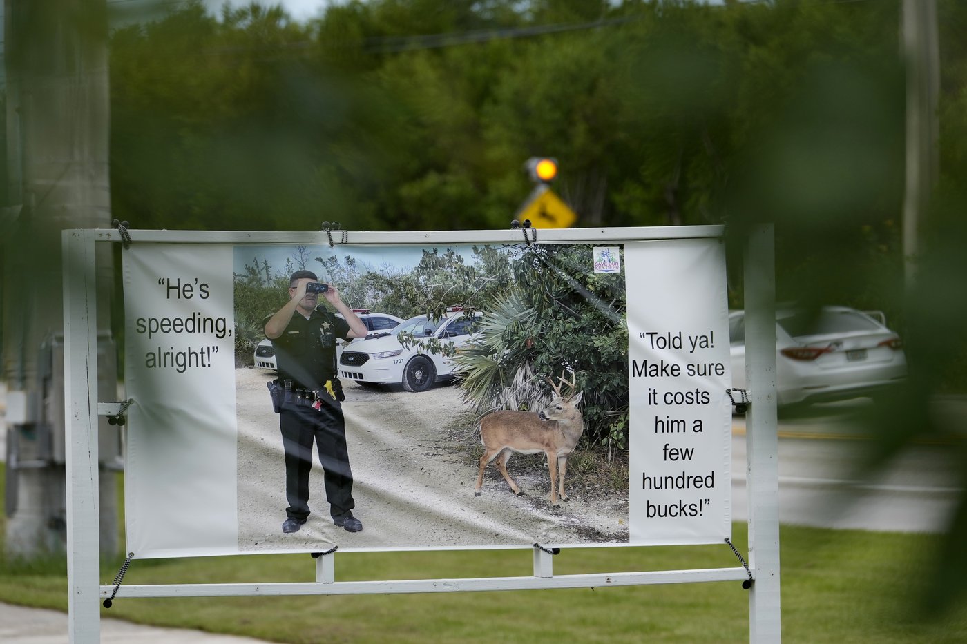 Florida’s iconic Key deer face an uncertain future as seas rise | iNFOnews.ca