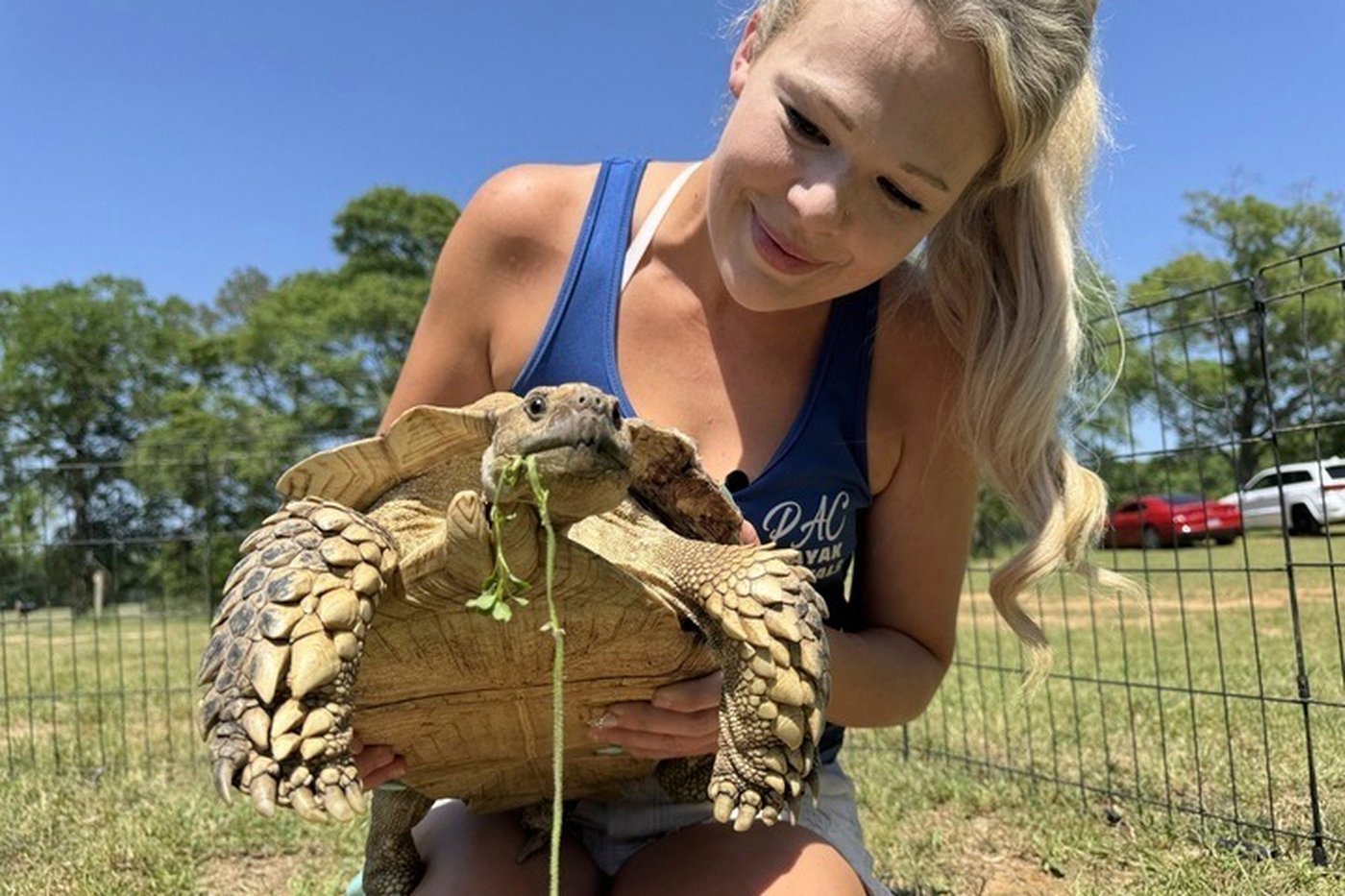 A beloved pet tortoise is reunited with its family weeks after disappearing in a Mississippi tornado | iNFOnews.ca