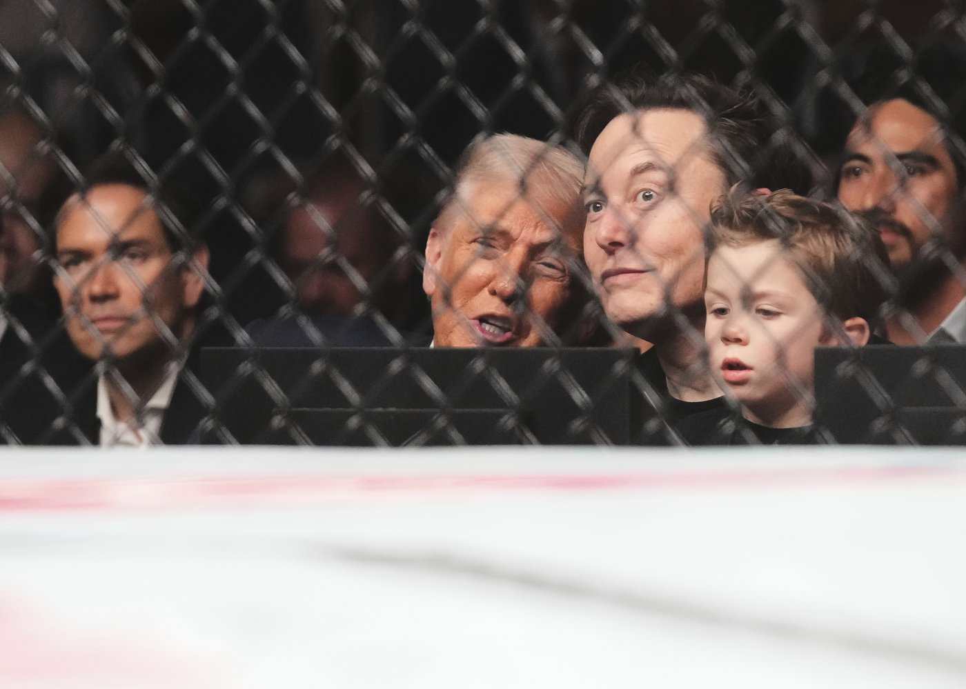 Trump sits cageside at Miami UFC event in his latest appearance at a sports event | iNFOnews.ca