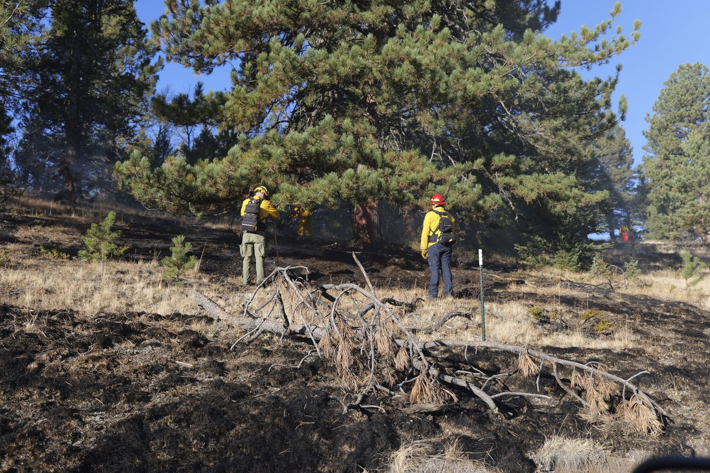 Fire destroys 1 home and forces the evacuation of 700 others in a Colorado subdivision | iNFOnews.ca Fire destroys 1 home and forces the evacuation of 700 others in a Colorado subdivision | iNFOnews.ca