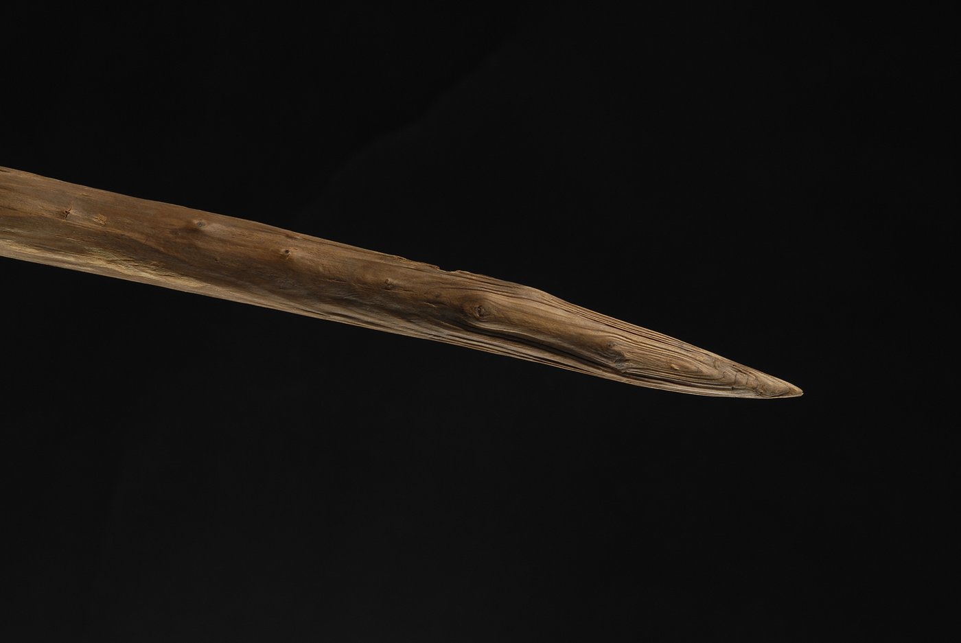 Ancient wooden spears found in Germany may have been wielded by Neanderthals, a new study suggests | iNFOnews.ca