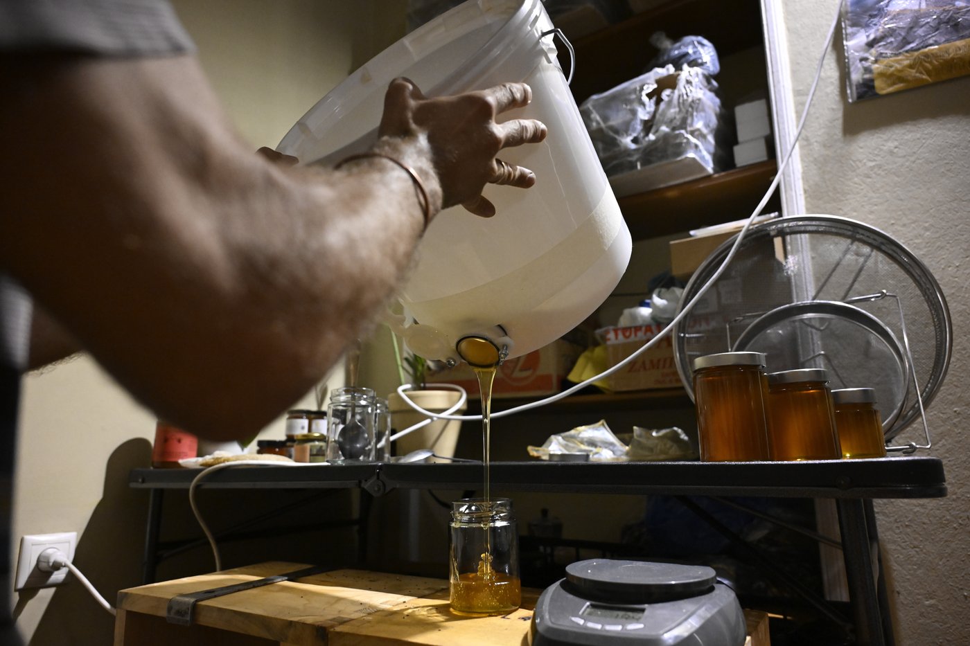 Rooftop beekeeping in Athens: A new buzz in urban ecosystems, in photos | iNFOnews.ca