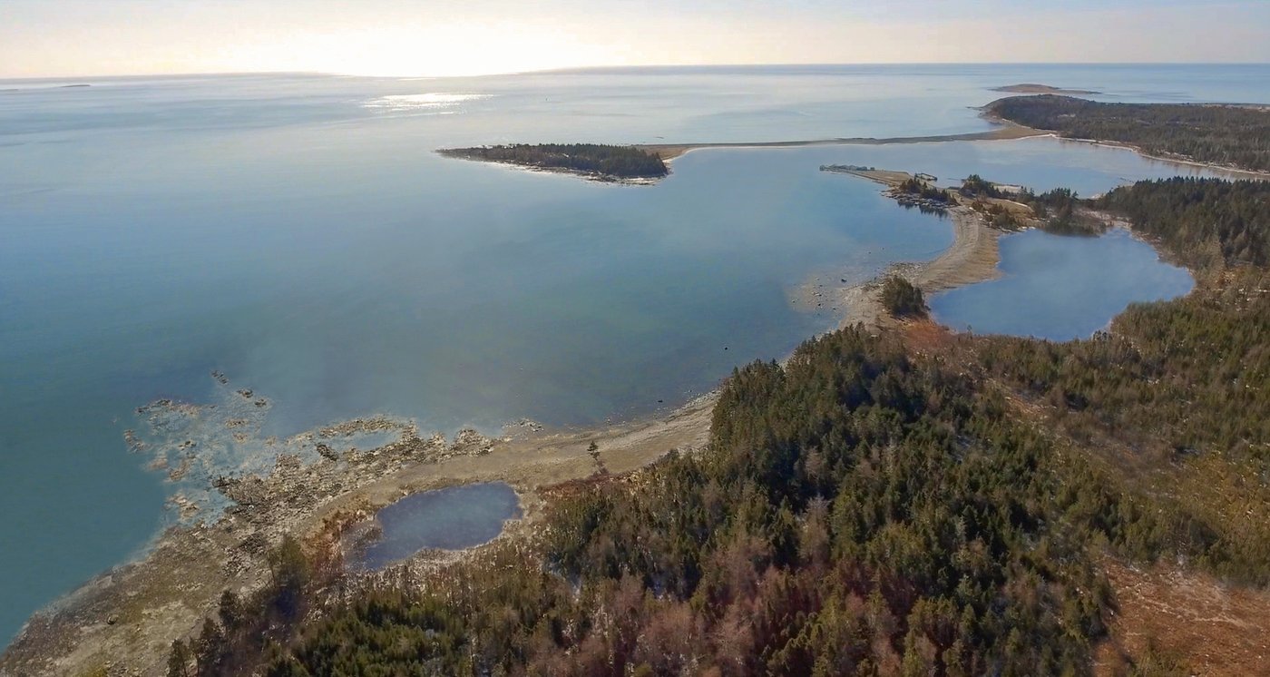 Four things about Nova Scotia's decision to approve Whale Sanctuary Project | iNFOnews.ca