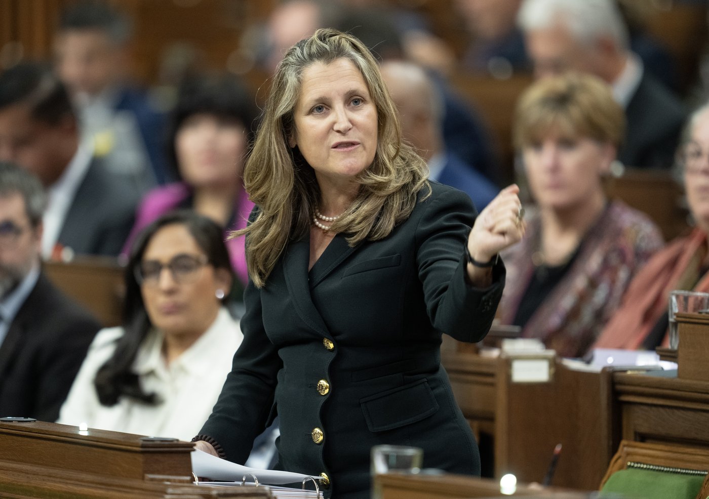 Bloc Québécois motion on old age security passes without Liberal support | iNFOnews.ca Bloc Québécois motion on old age security passes without Liberal support | iNFOnews.ca