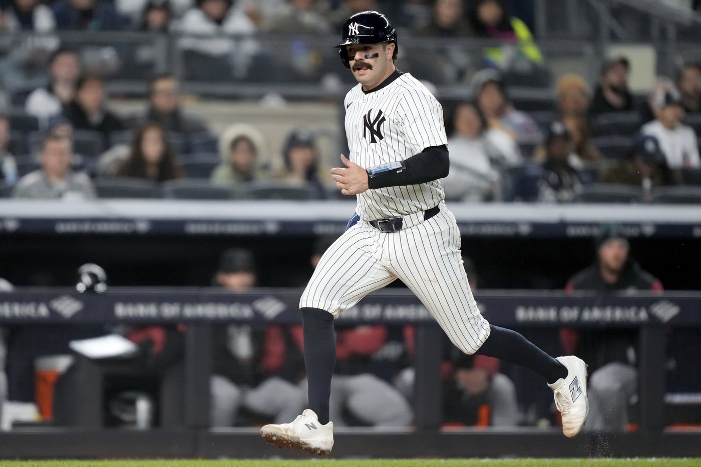 Yankees catcher Wells out of lineup Friday in Tampa with food poisoning | iNFOnews.ca