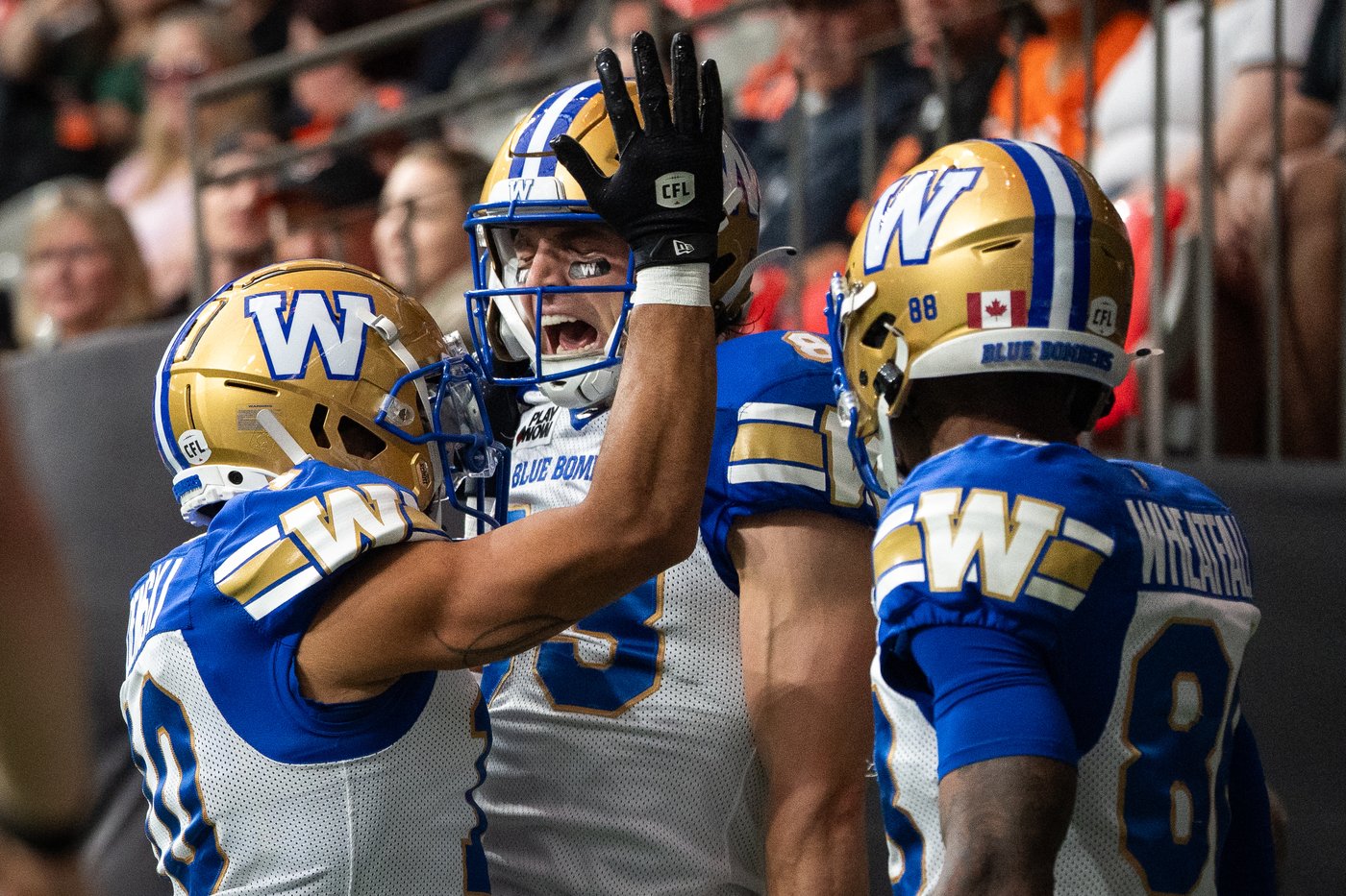 Zach Collaros makes season debut, Winnipeg Blue Bombers thump B.C. Lions 27-14 | iNFOnews.ca