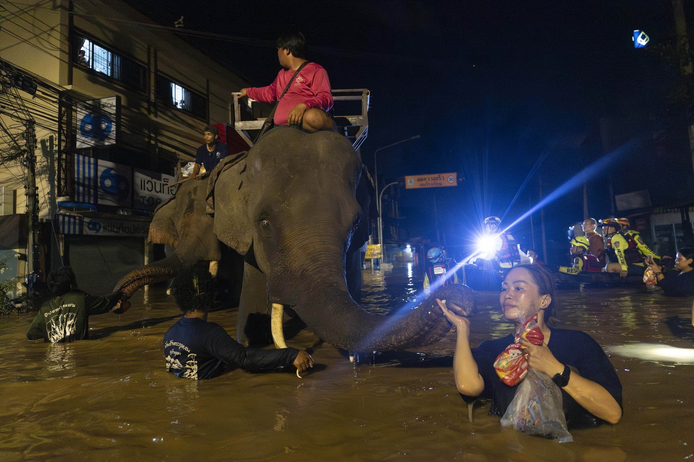 Central Thailand braces for inundation as rain stops in flooded Chiang Mai | iNFOnews.ca Central Thailand braces for inundation as rain stops in flooded Chiang Mai | iNFOnews.ca