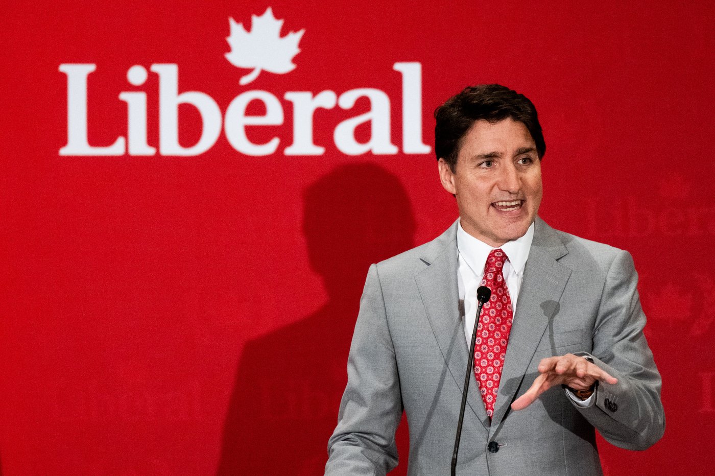 Liberals will remove 'fraudulent' memberships, as some register their pets to vote | iNFOnews.ca Liberals will remove 'fraudulent' memberships, as some register their pets to vote | iNFOnews.ca