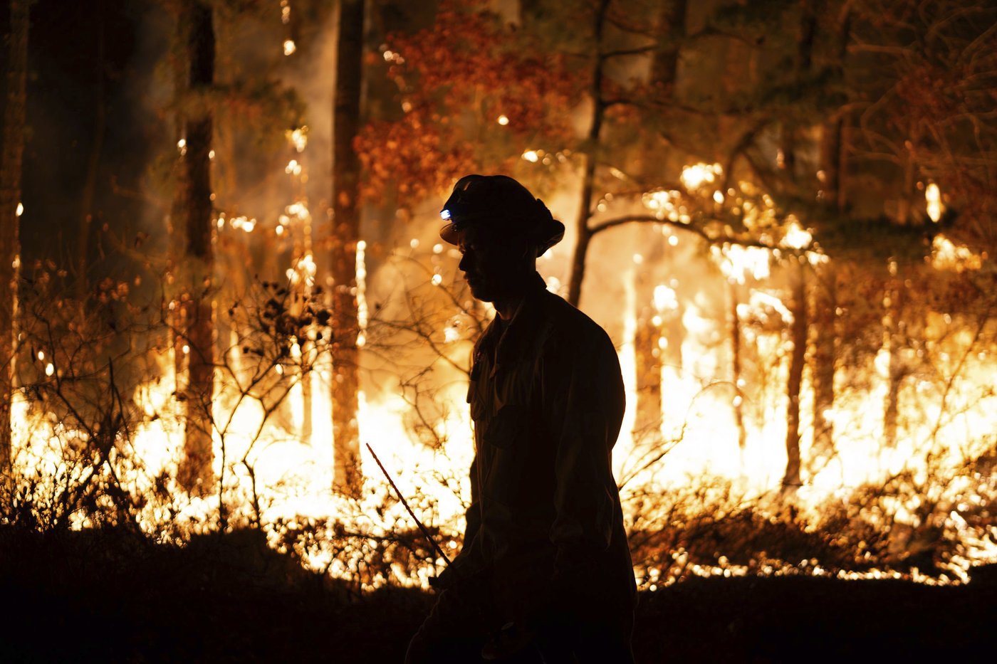Crews battling New Jersey wildfires in driest conditions in nearly 120 years | iNFOnews.ca Crews battling New Jersey wildfires in driest conditions in nearly 120 years | iNFOnews.ca