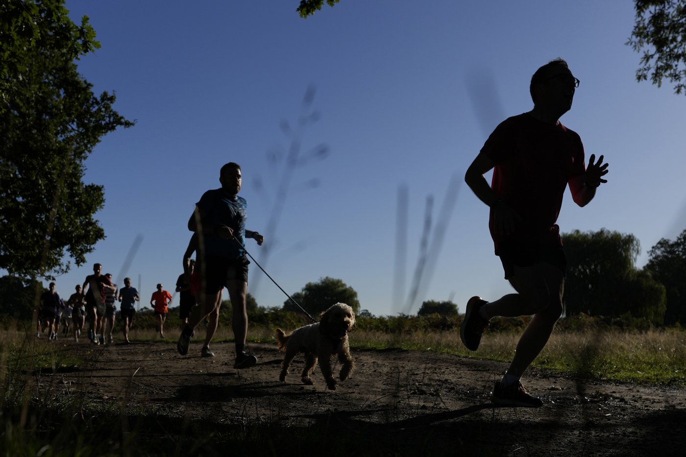 Feel-good parkruns have raced past their humble beginnings and now draw millions for fitness and fun | iNFOnews.ca Feel-good parkruns have raced past their humble beginnings and now draw millions for fitness and fun | iNFOnews.ca