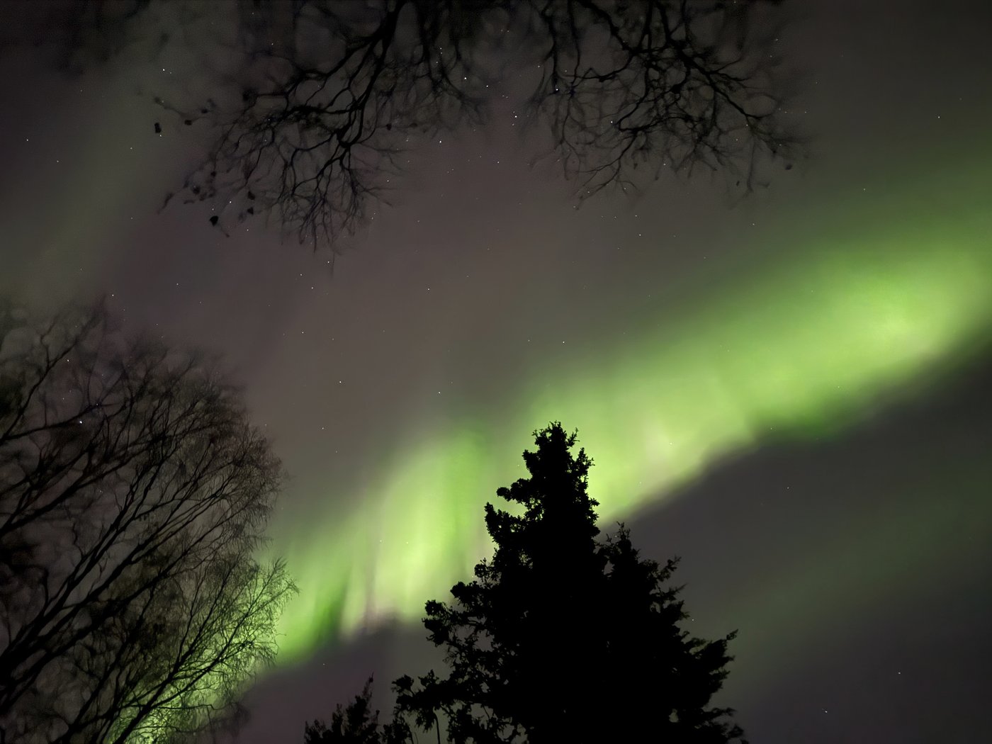 Northern lights may be faintly visible across parts of the US this Thanksgiving | iNFOnews.ca