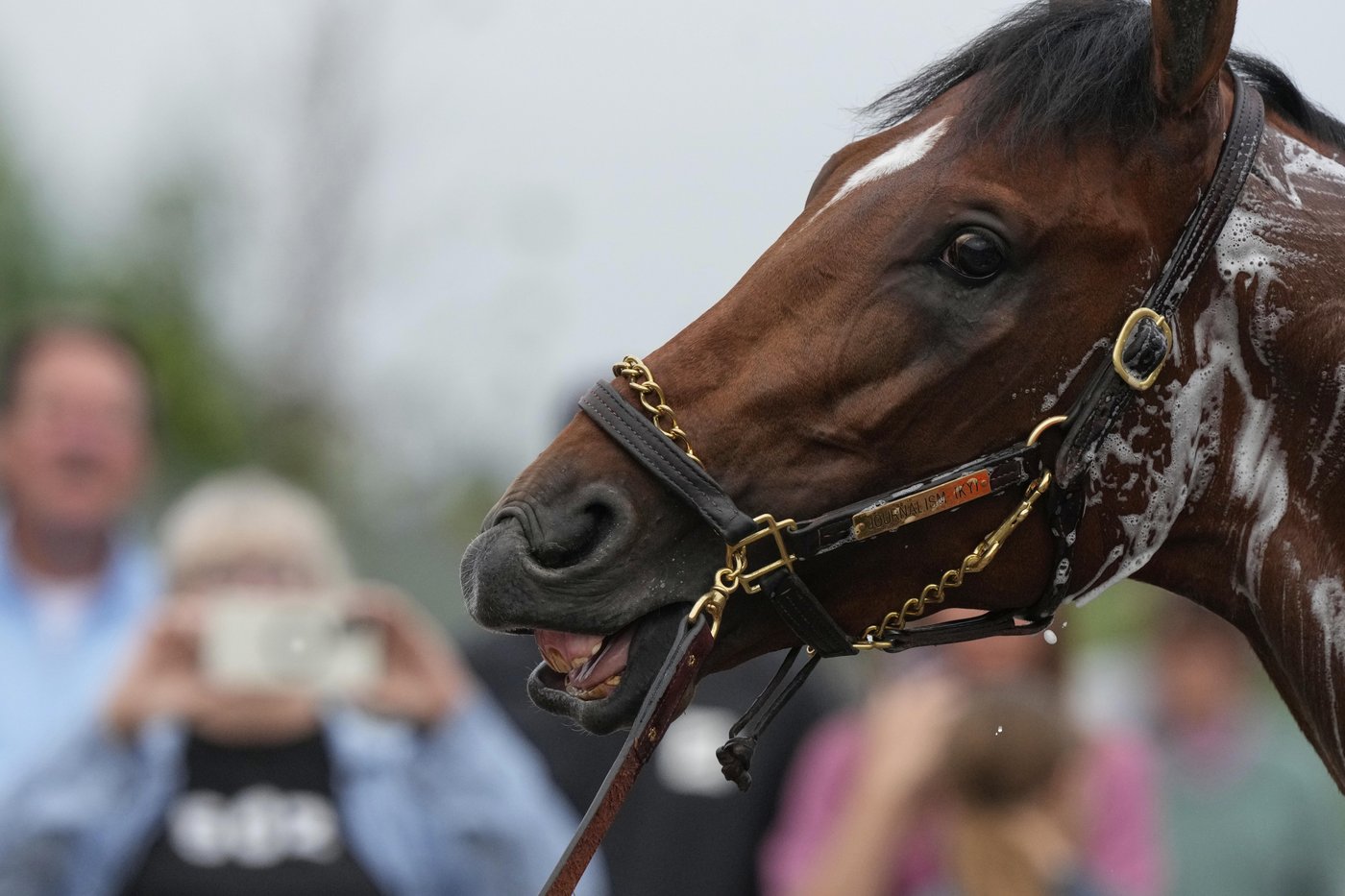 The 151st Kentucky Derby could be a mudder's delight with rain in the forecast | iNFOnews.ca The 151st Kentucky Derby could be a mudder's delight with rain in the forecast | iNFOnews.ca