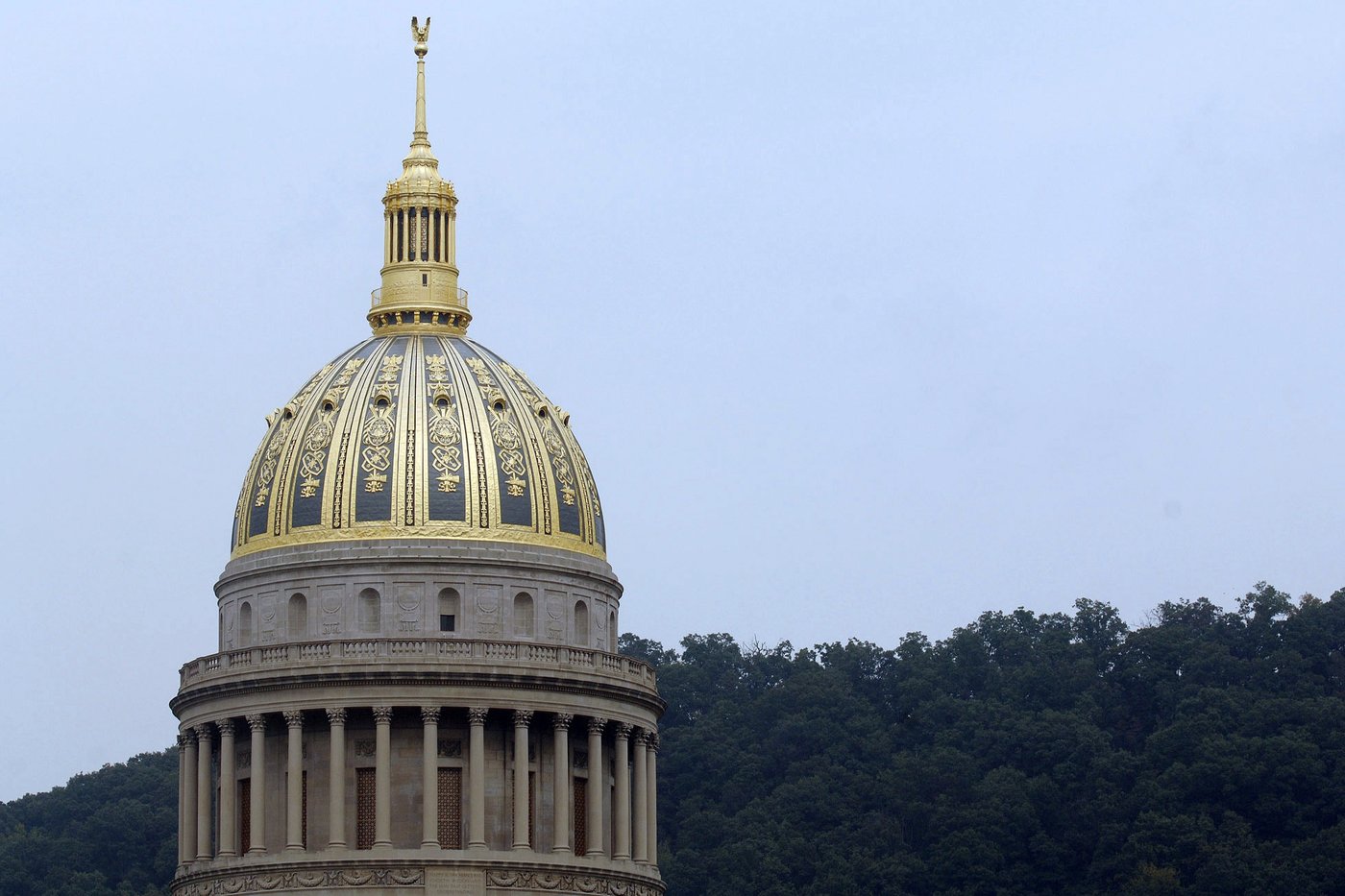 Head of West Virginia gun lobby appointed to replace lawmaker-elect arrested for making threats | iNFOnews.ca