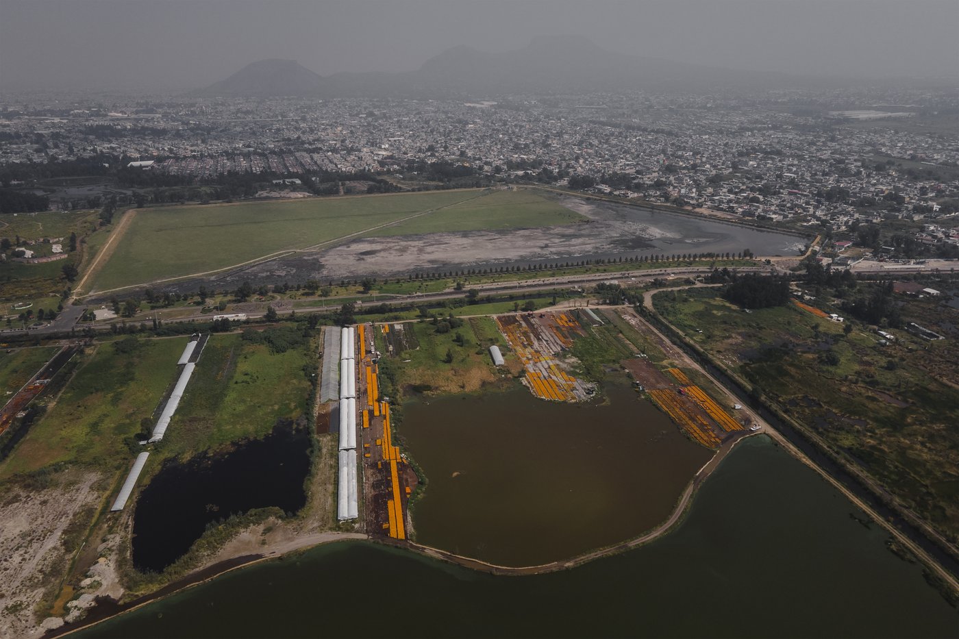 Mexico City’s floating gardens have fed people for hundreds of years. Now they’re threatened | iNFOnews.ca Mexico City’s floating gardens have fed people for hundreds of years. Now they’re threatened | iNFOnews.ca