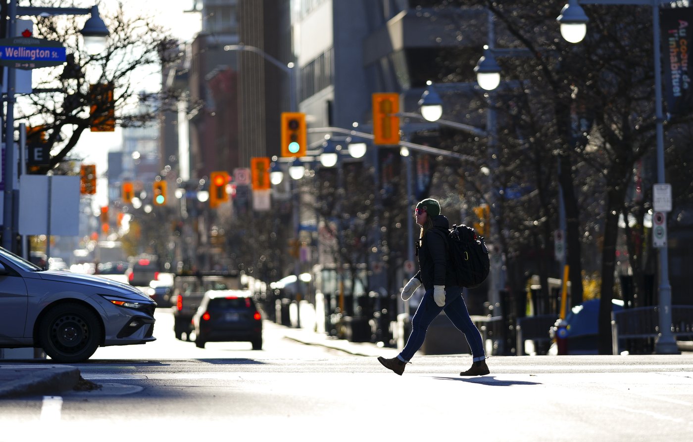 Long-awaited carbon rebate for businesses being sent earlier than promised | iNFOnews.ca Long-awaited carbon rebate for businesses being sent earlier than promised | iNFOnews.ca