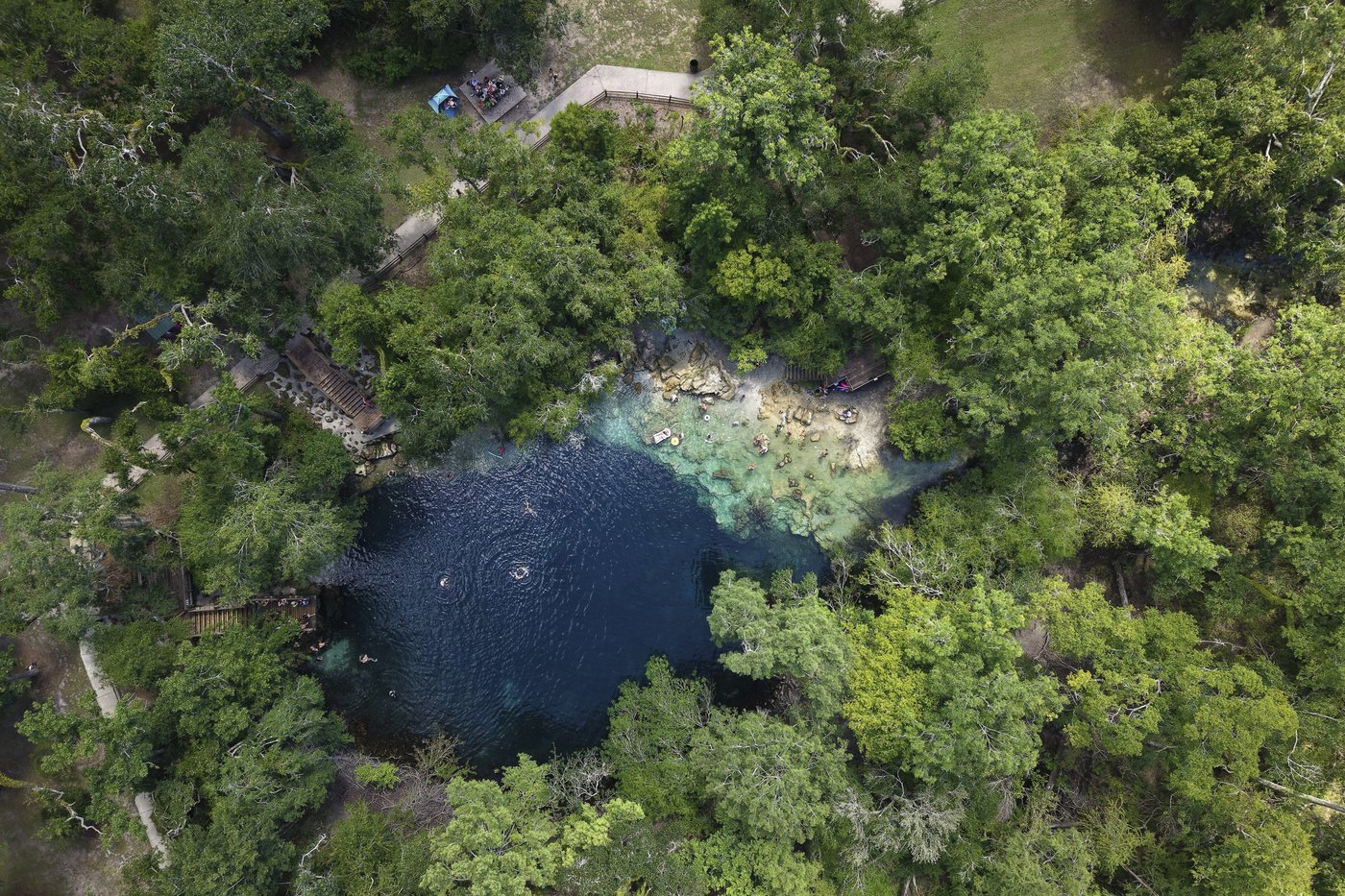 Florida's once-pristine springs threatened by pollution, development and climate change | iNFOnews.ca