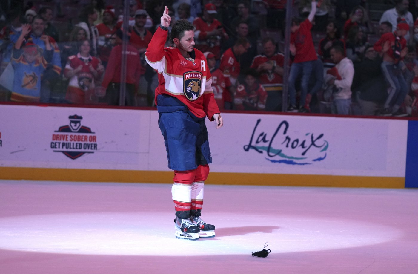 Panthers will soon have another champion. They have a player on every 4 Nations roster | iNFOnews.ca Panthers will soon have another champion. They have a player on every 4 Nations roster | iNFOnews.ca