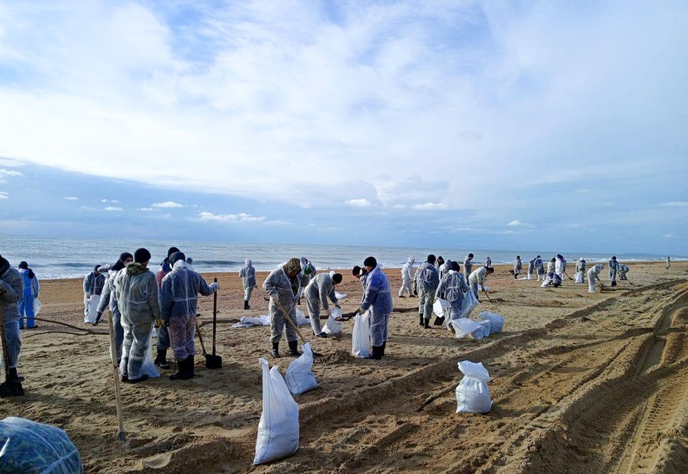 More than 30 dolphins have died since an oil spill near southern Russia, experts say | iNFOnews.ca More than 30 dolphins have died since an oil spill near southern Russia, experts say | iNFOnews.ca