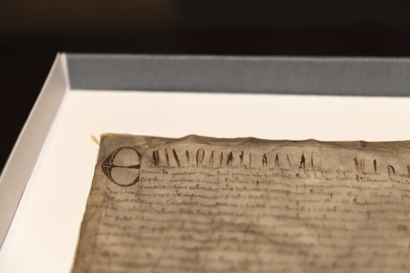 Harvard thought it had a cheap copy of the Magna Carta. It turned out to be extremely rare | iNFOnews.ca