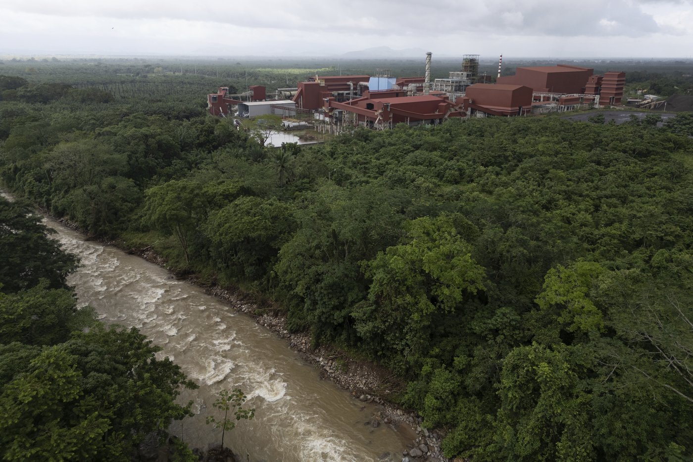 He fought to save jungles in Honduras. Now his killing haunts environmental defenders | iNFOnews.ca He fought to save jungles in Honduras. Now his killing haunts environmental defenders | iNFOnews.ca