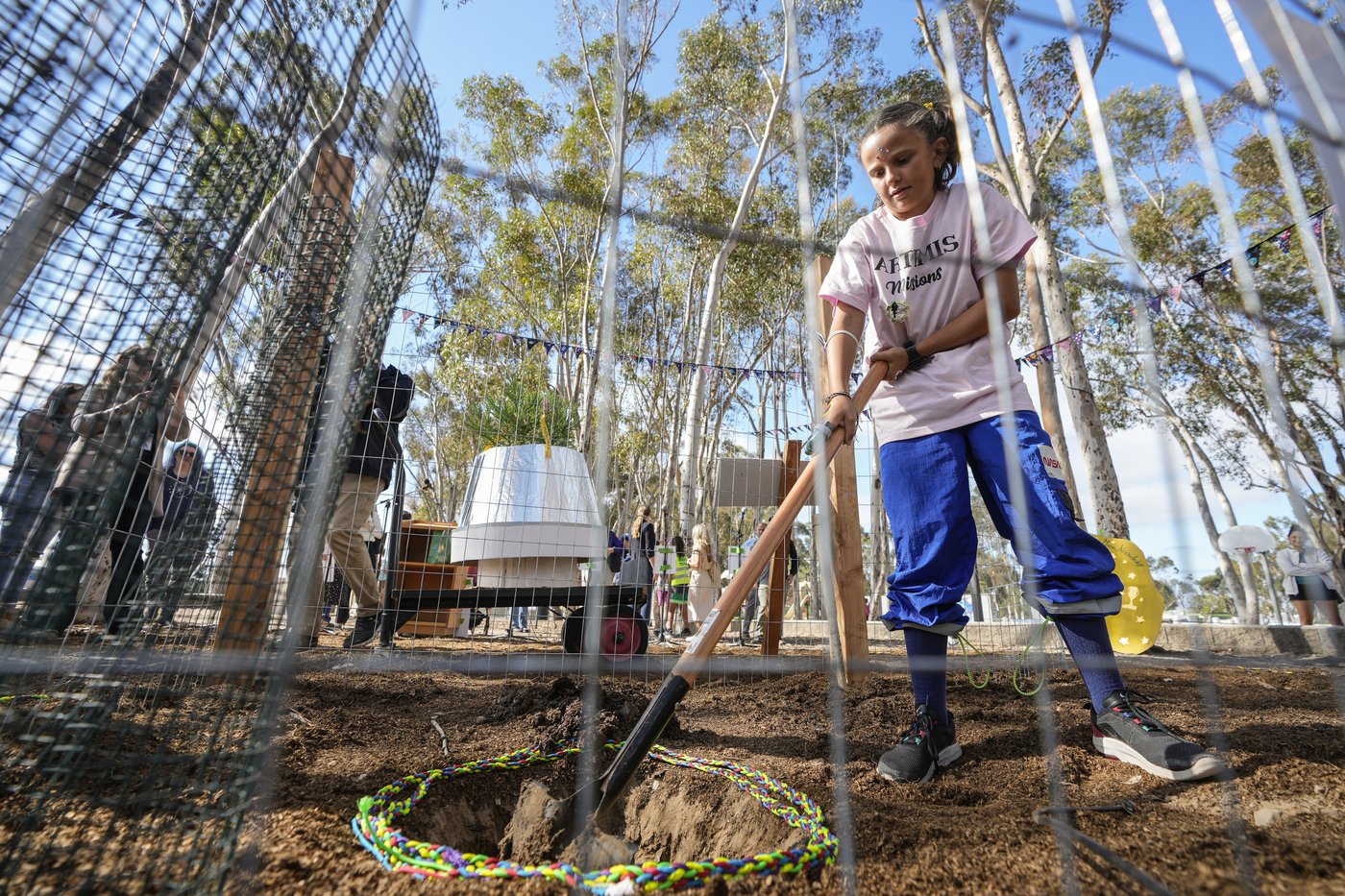A Southern California school plants a 'Moon Tree' grown with seeds flown in space | iNFOnews.ca