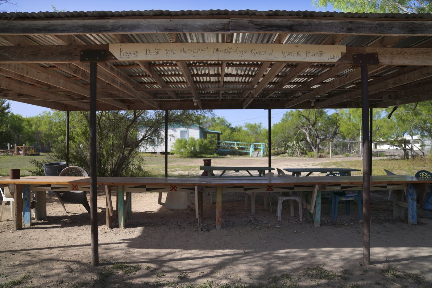 Why this Mexican American woman played a vital role in the US sacramental peyote trade | iNFOnews.ca