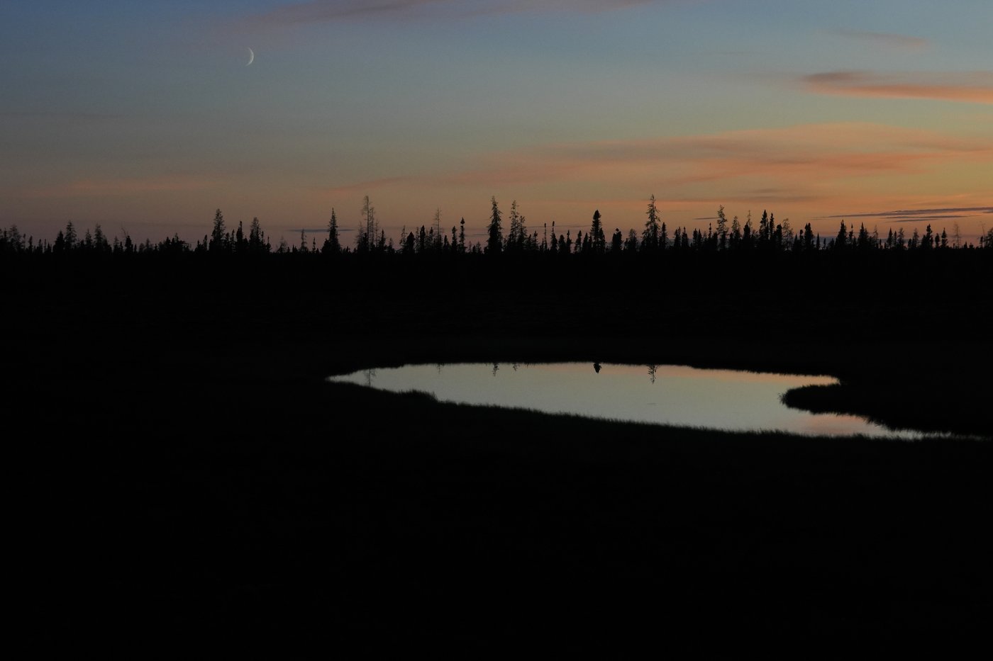 Manitoba's train is a lifeline for many towns. Now tourists are also discovering the route | iNFOnews.ca Manitoba's train is a lifeline for many towns. Now tourists are also discovering the route | iNFOnews.ca