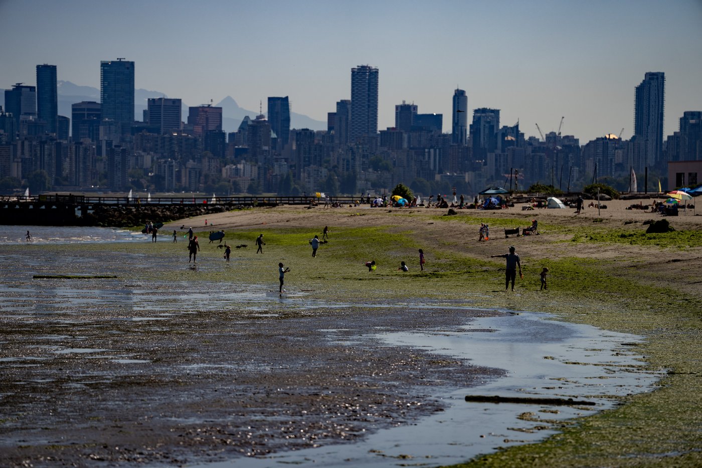 Metro Vancouver to ban car washing and lawn watering next week under Stage 3 rules | iNFOnews.ca Metro Vancouver to ban car washing and lawn watering next week under Stage 3 rules | iNFOnews.ca