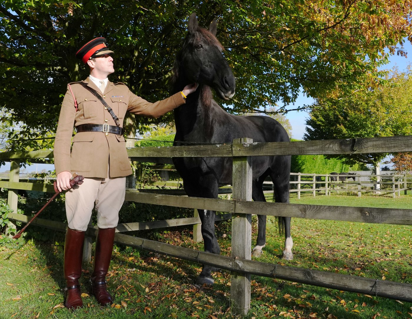 British army horse that galloped through London after being spooked gets well-deserved retirement | iNFOnews.ca
