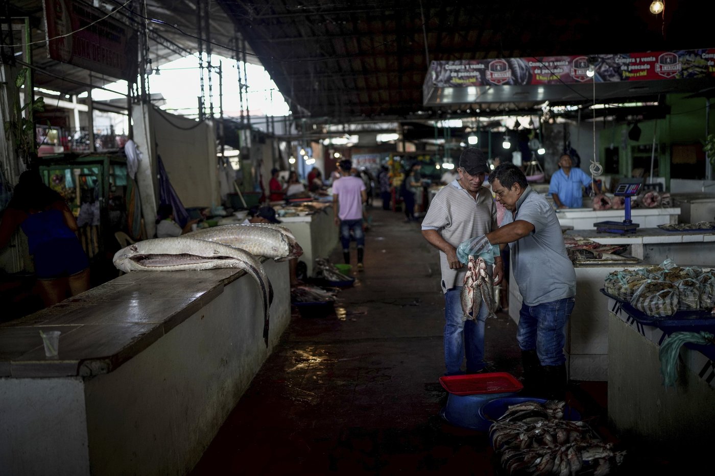 In Colombia, Amazon River's extreme drought falls hard on Indigenous communities | iNFOnews.ca In Colombia, Amazon River's extreme drought falls hard on Indigenous communities | iNFOnews.ca