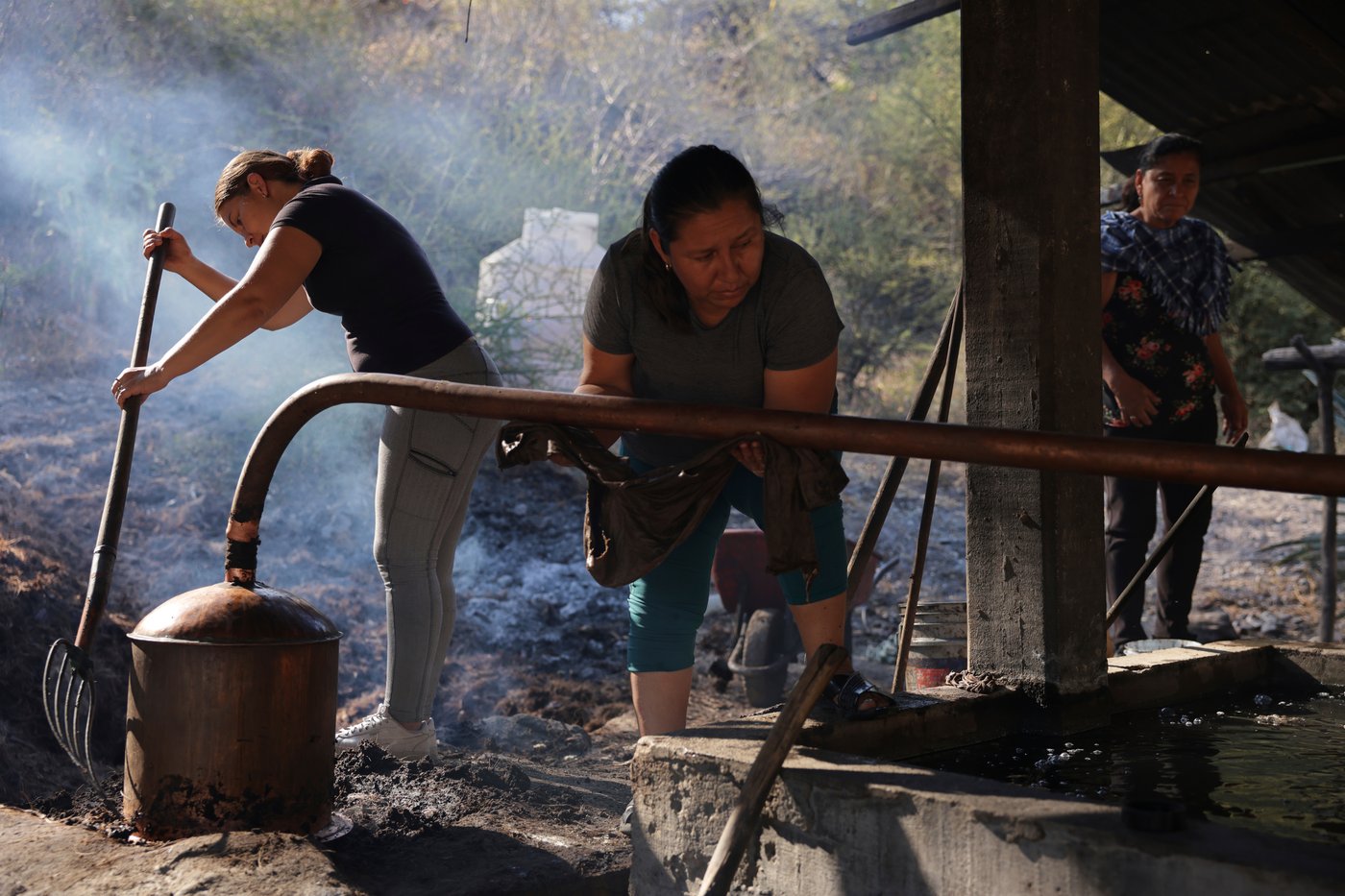 See how mezcal is made in Mexico | iNwine See how mezcal is made in Mexico | iNwine