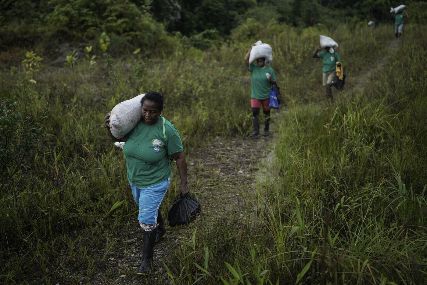 Afro-Colombians fight the effects of gold mining through biodiversity projects in a violent region | iNFOnews.ca Afro-Colombians fight the effects of gold mining through biodiversity projects in a violent region | iNFOnews.ca