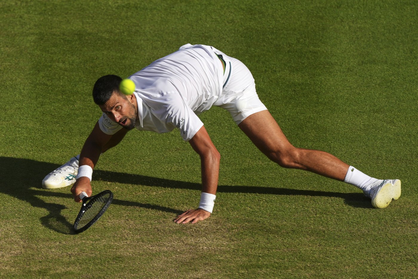 Novak Djokovic is ready to face Jannik Sinner and the other young guys at Wimbledon | iNFOnews.ca Novak Djokovic is ready to face Jannik Sinner and the other young guys at Wimbledon | iNFOnews.ca