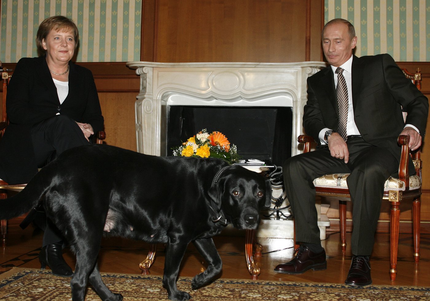 Germany's Merkel recalls Putin's 'power games' and contrasting US presidents in her memoirs | iNFOnews.ca Germany's Merkel recalls Putin's 'power games' and contrasting US presidents in her memoirs | iNFOnews.ca