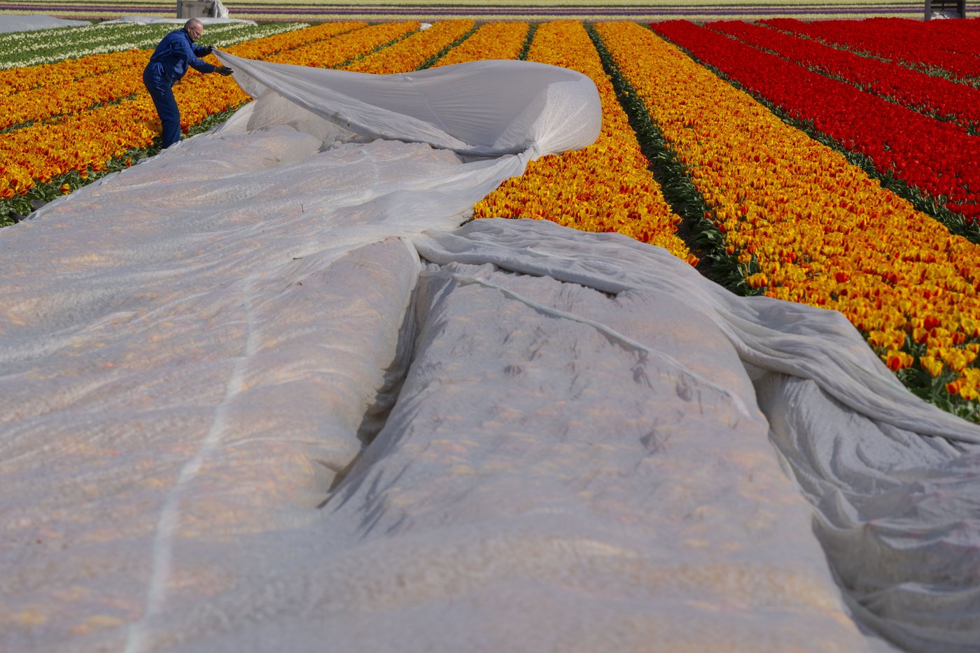 PHOTO COLLECTION: Spring | iNFOnews.ca