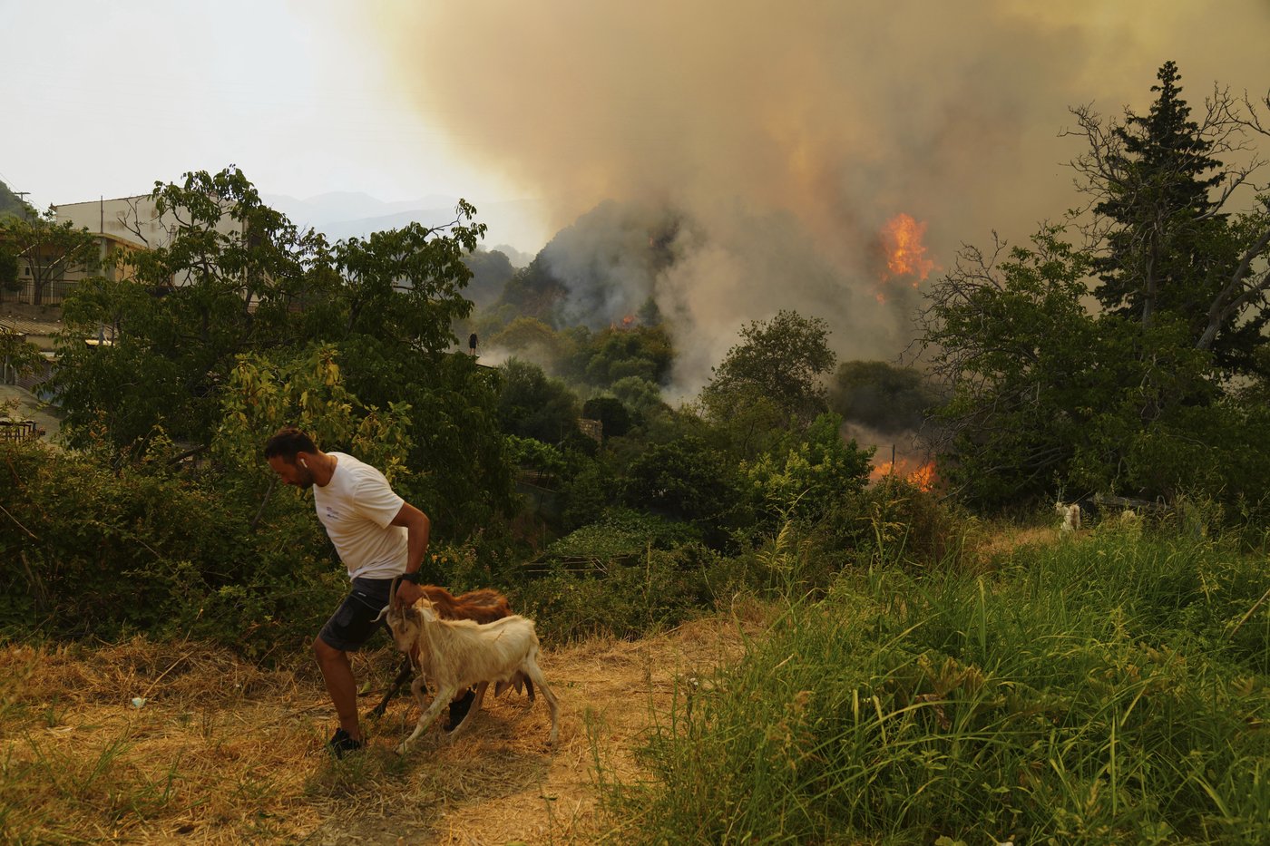 Climate change made deadly wildfires in Turkey, Greece and Cyprus more fierce, study finds | iNFOnews.ca
